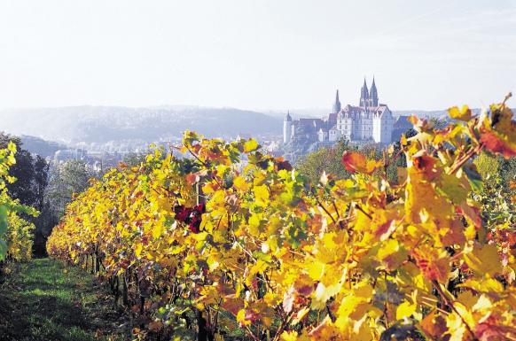 Goldener Herbst im Elbtal DE